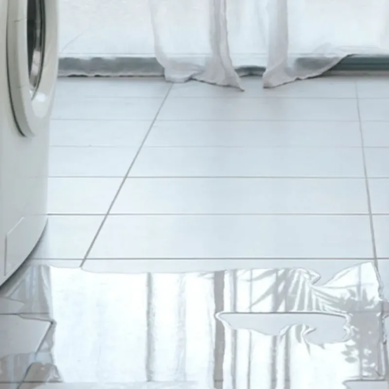Appliance Leak Cleanup in Manning, ND