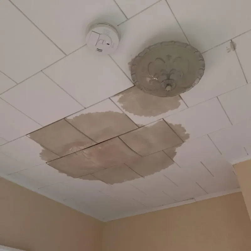 Ceiling Water Damage Repair in Manning, ND