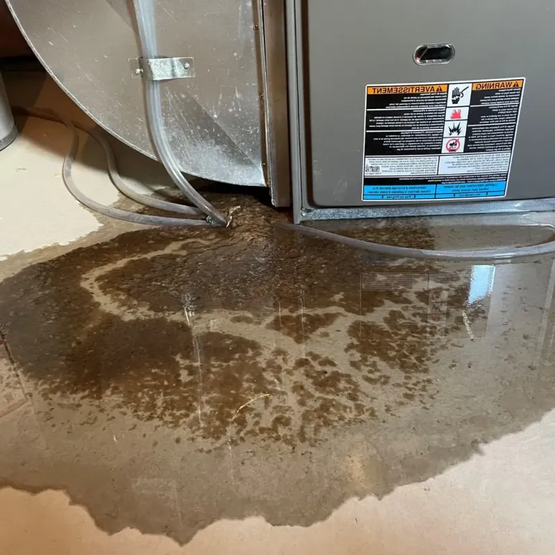 Pipe Burst and Leak Restoration in Manning, ND