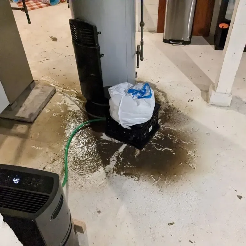 Sewage Backup Cleanup Service in Manning, ND